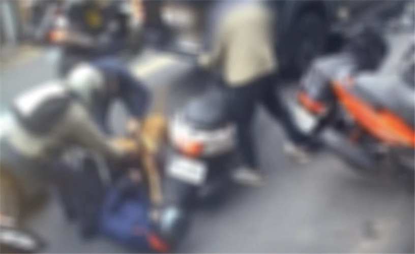 又是你！比特犬Lucky再度跳窗咬人　動保處：仍給飼主最後機會