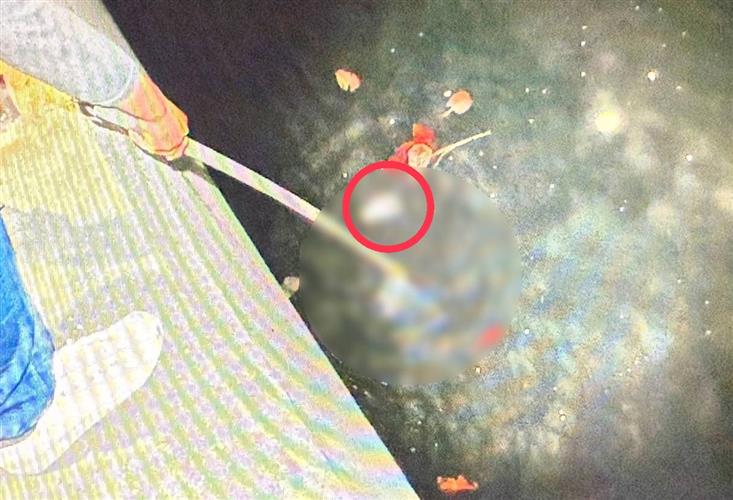 快訊／前鎮河再撈到一隻手！　高雄分屍魔每月殺1人「疑有更多被害人」
