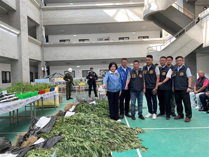 市值超過10億元！雲林檢警憲拂曉出擊　破獲史上最大戶外溫室大麻園